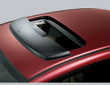 Visor/Deflector